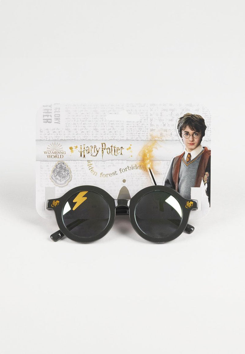 Harry Potter Sunglasses