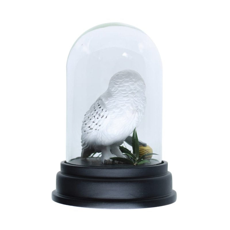 Hedwig Curiosity Cloche - Wizarding World of Harry Potter - Olleke Wizarding Shop Amsterdam