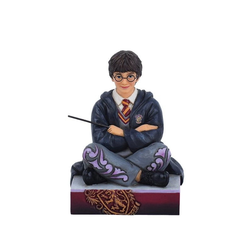 The Chosen One (Harry Potter Personality Pose) - Olleke Wizarding Shop Amsterdam