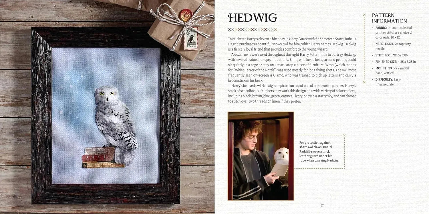 Harry Potter : Le livre officiel de broderie au point de croix de Poudlard