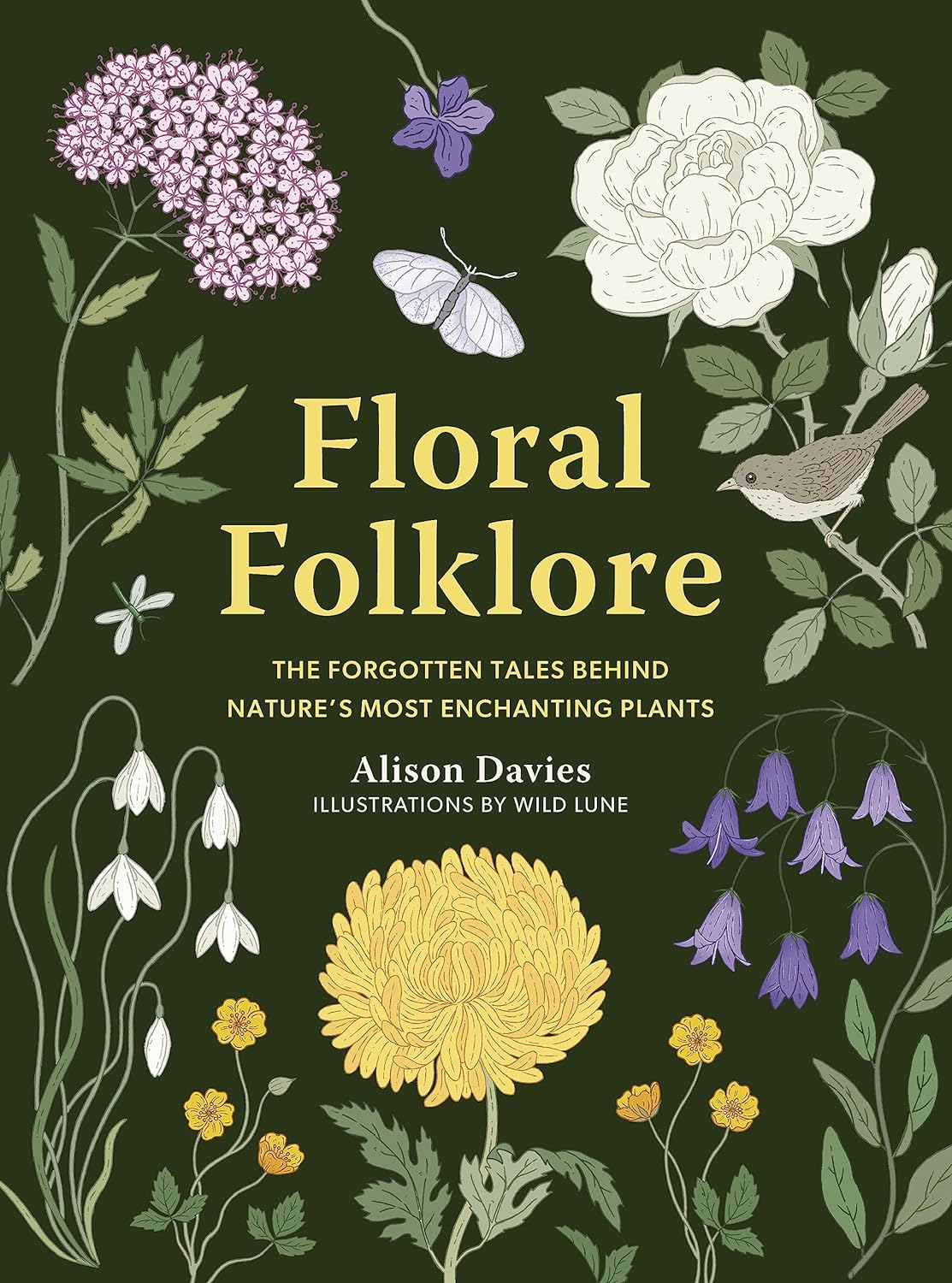 Folklore floral