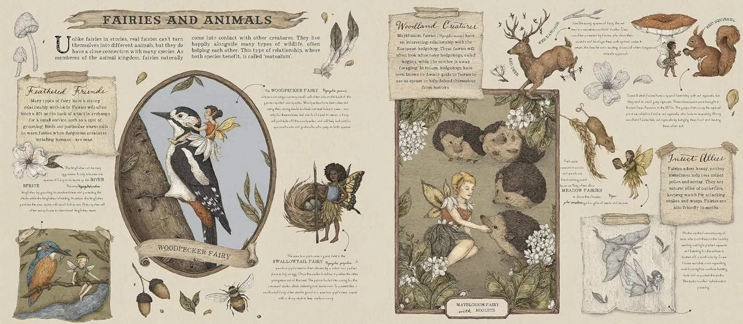 Histoire naturelle des fées