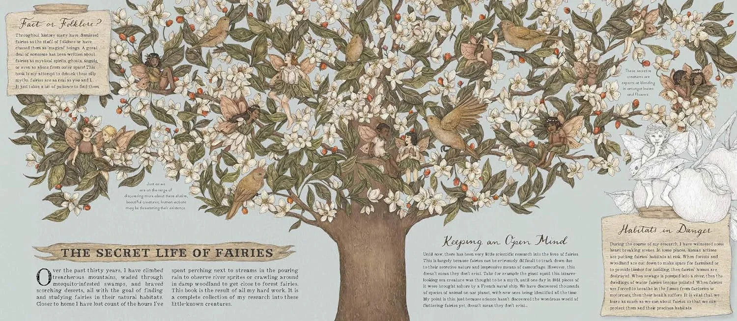 Natural History of Fairies