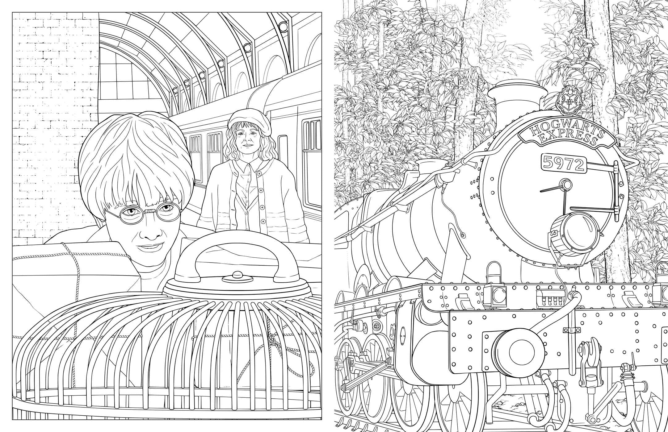 Harry Potter : Voyages à travers le monde magique : Un livre de coloriage officiel