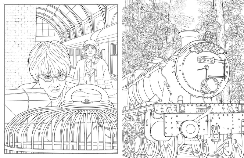 Harry Potter: Travels Through the Wizarding World: An Official Coloring Book