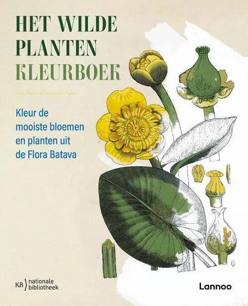 Le livre de couleurs des plantes sauvages