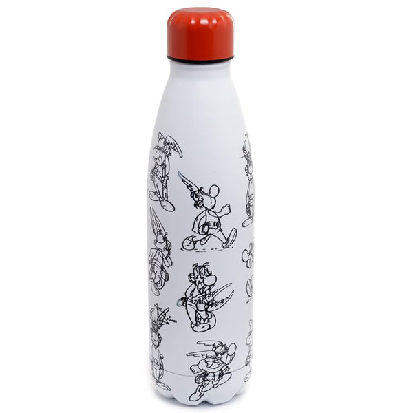 Asterix Metal Water Bottle
