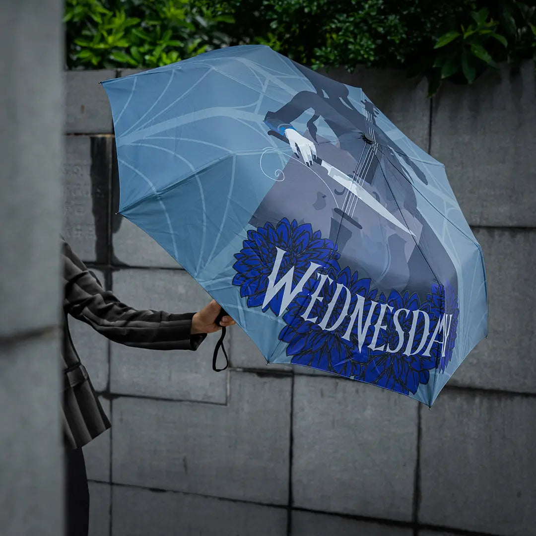 Wednesday Umbrella Wednesday and her cello