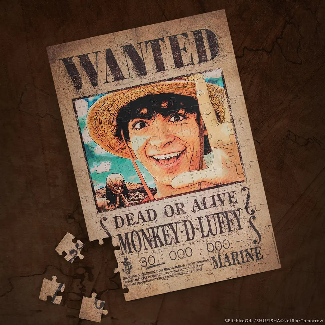 One Piece Magnetic puzzle Luffy Wanted