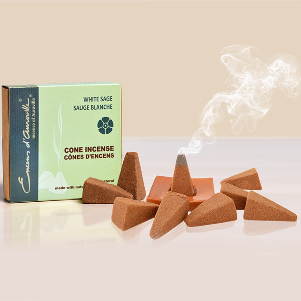 White Sage 10 Cone Incense