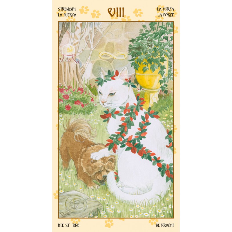 Tarot Of Pagan Cats