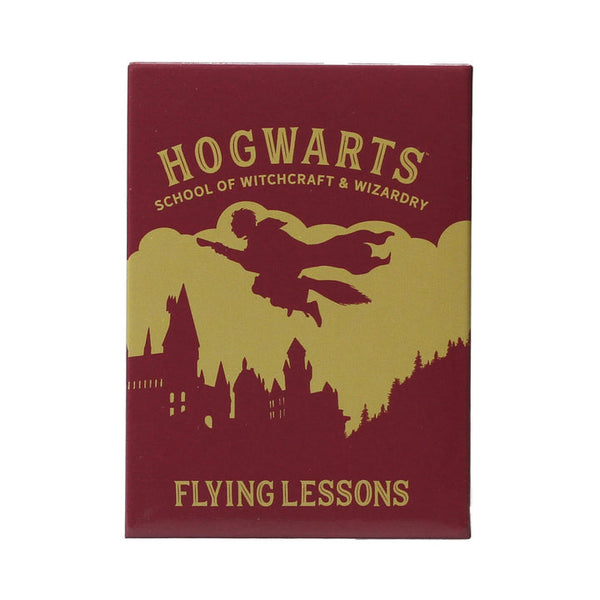 Harry Potter Metal Magnet - Flying Lessons