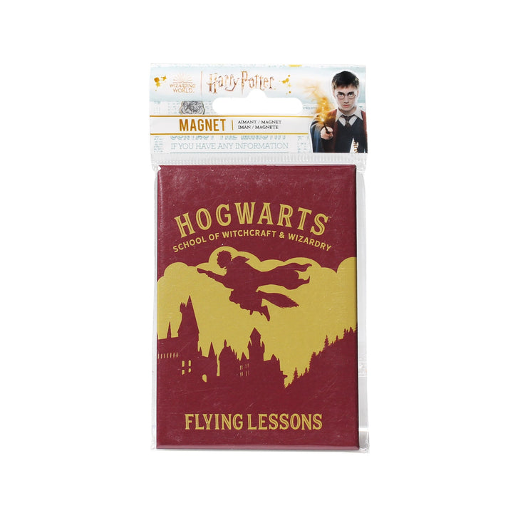 Harry Potter Metal Magnet - Flying Lessons