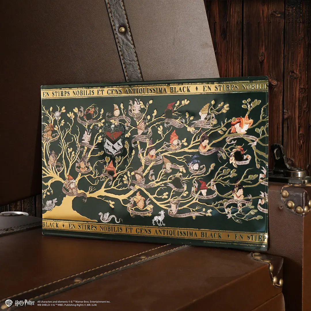 Harry Potter Aluminium plate Black Family