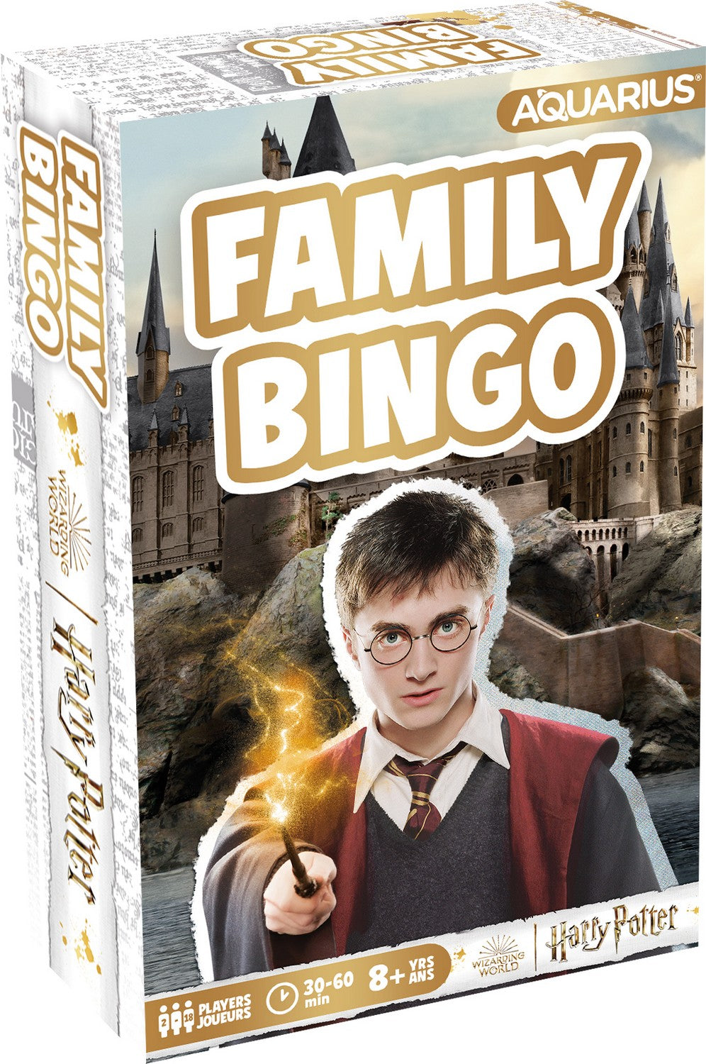 Bingo familial Harry Potter