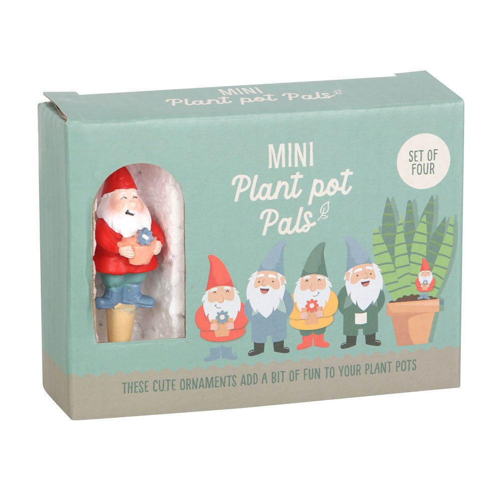 Set van 4 Mini Gnome Plant Pot Pals