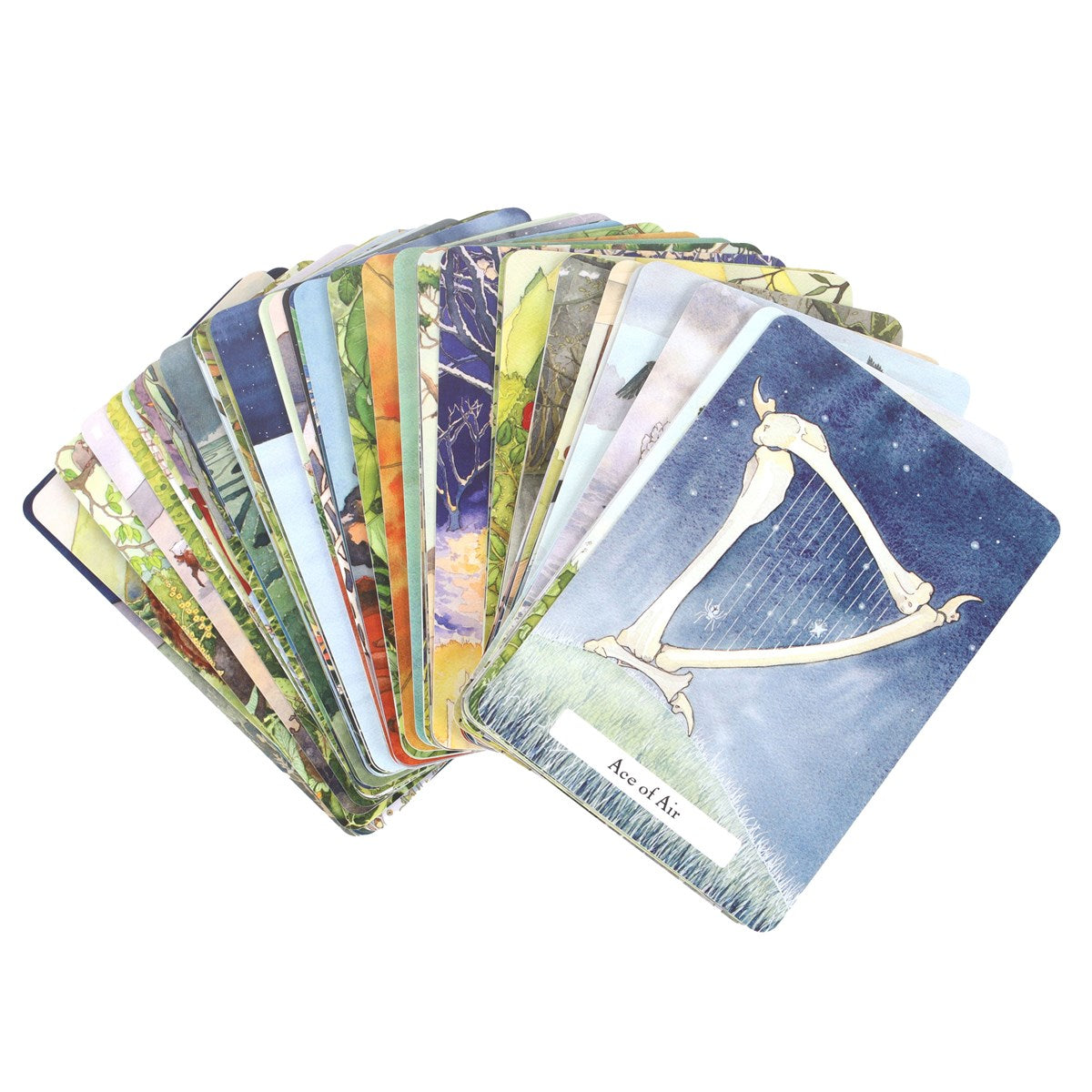 Cartes de Tarot La Sagesse des Sorcières Édition Standard