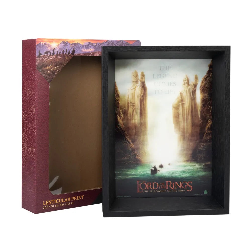Lord of the Rings Lenticular Framed Print