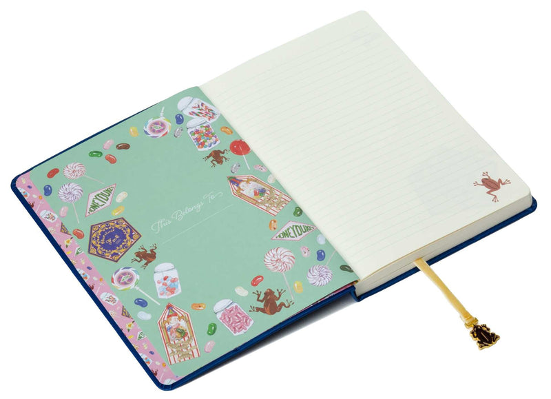 Chocolate Frog Journal with Ribbon Charm