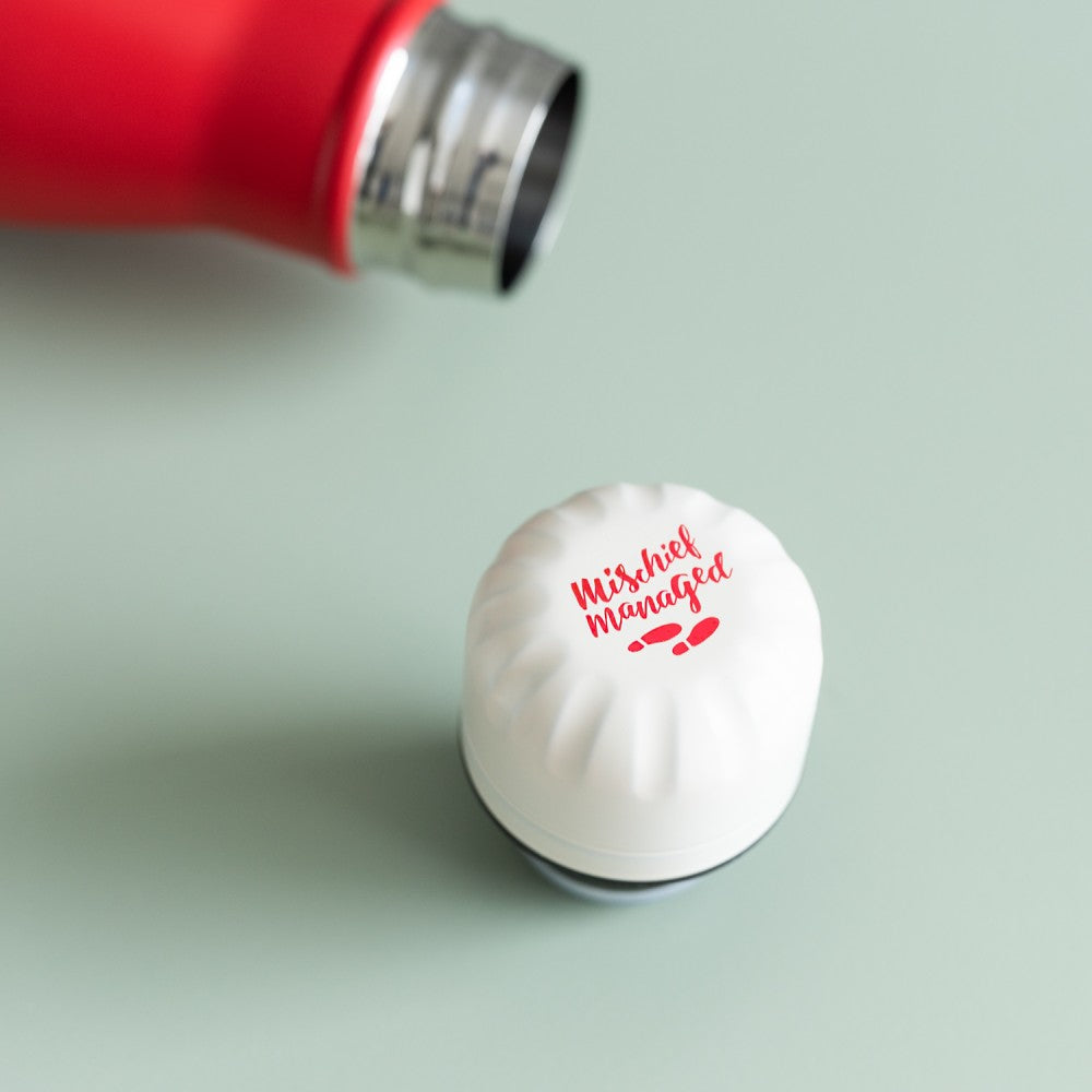 I solemly swear Water Bottle