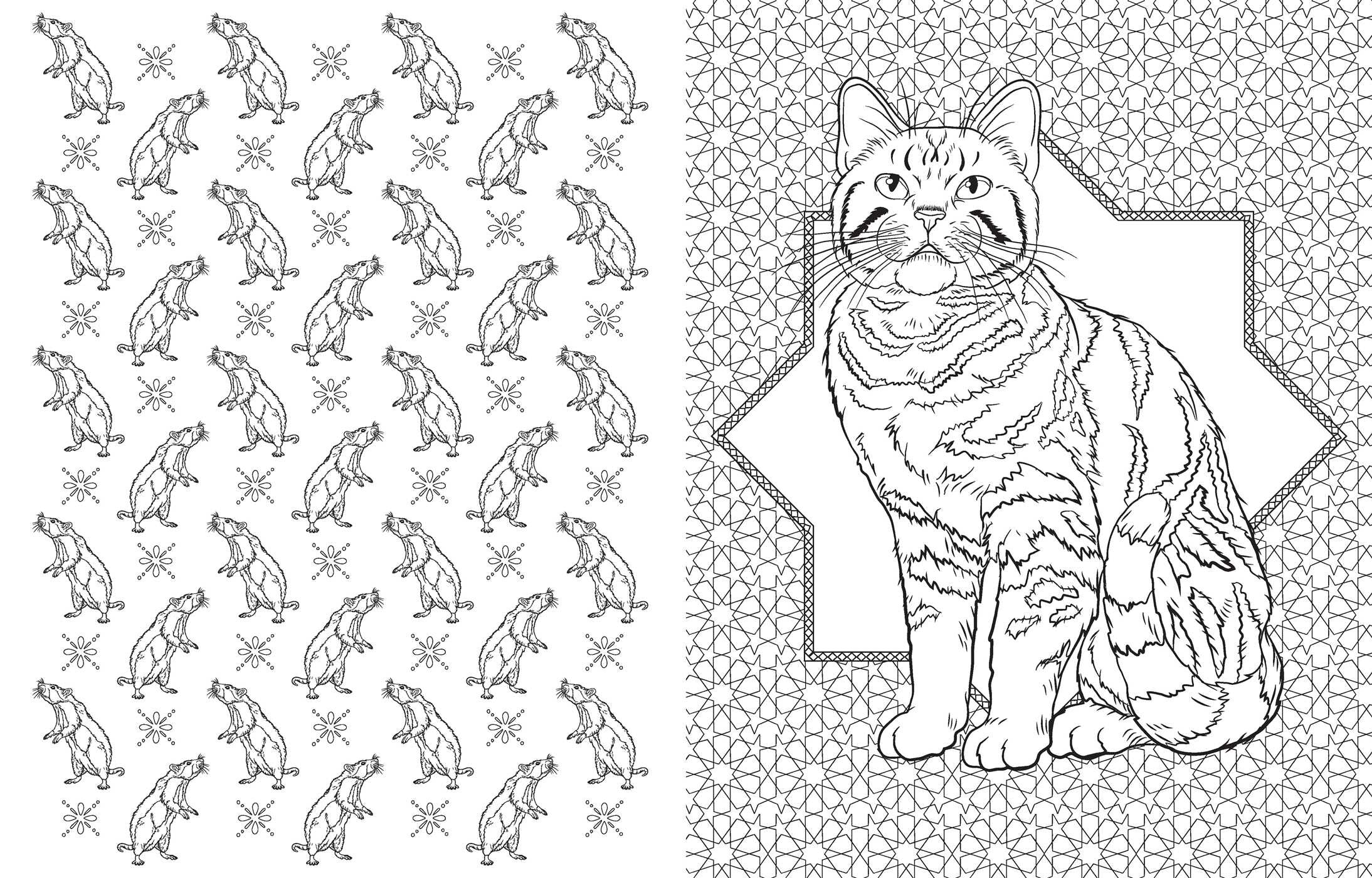 Harry Potter: Magical Creatures Coloring Book