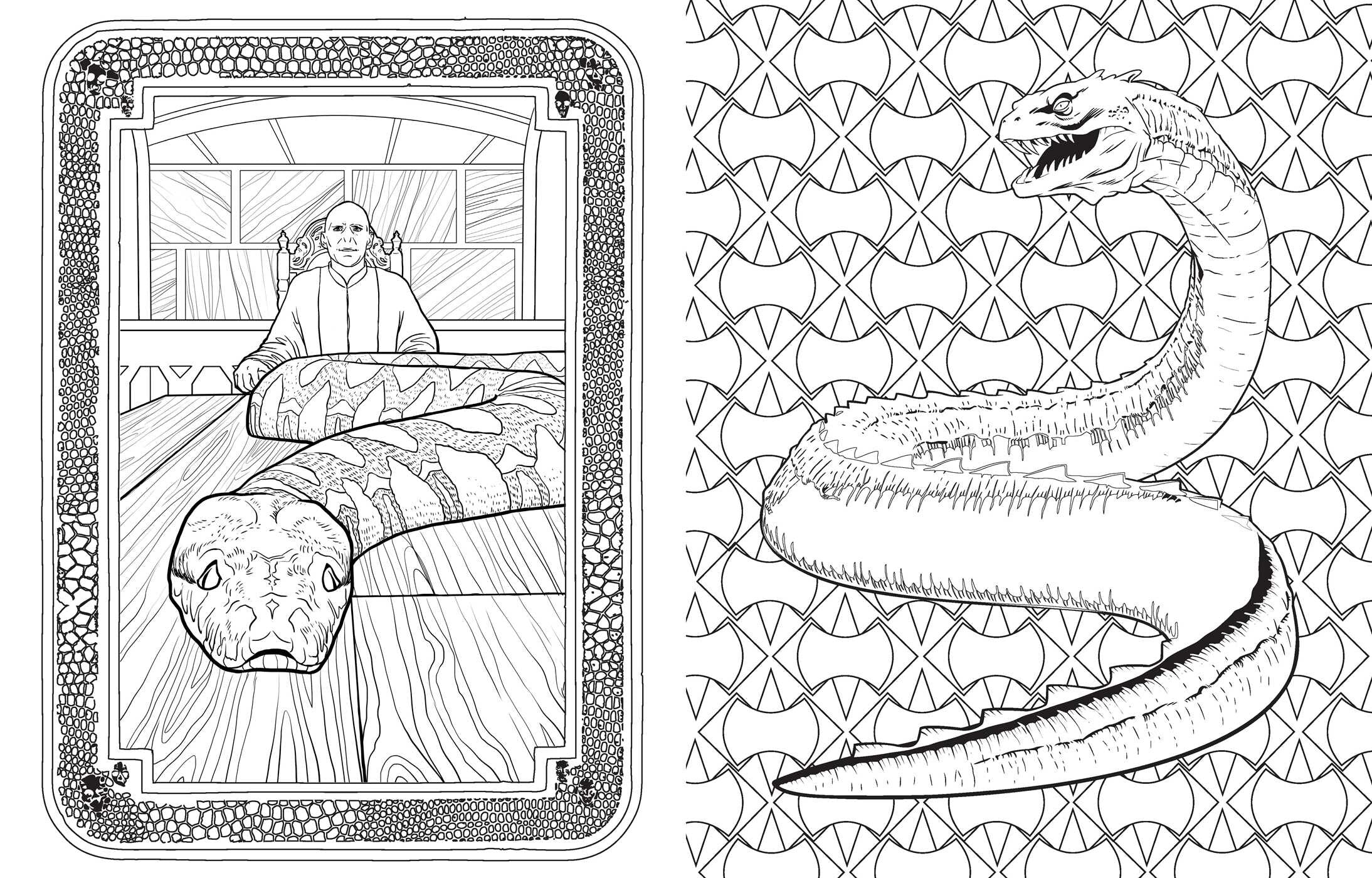 Harry Potter: Magical Creatures Coloring Book