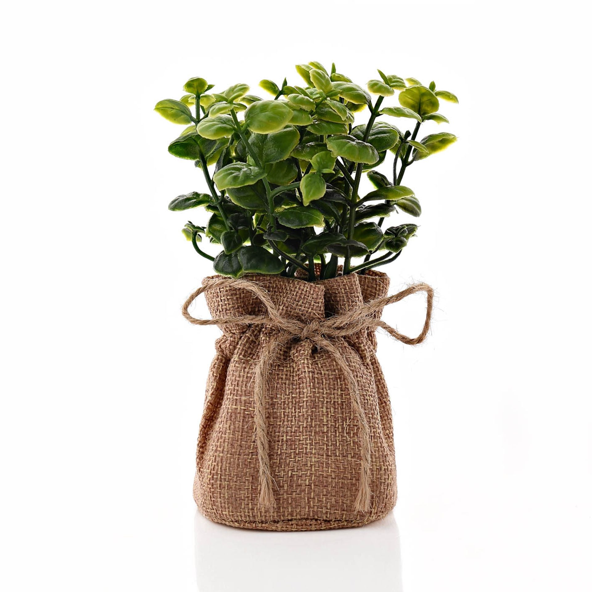 Small Faux Plant in Hessian Bag