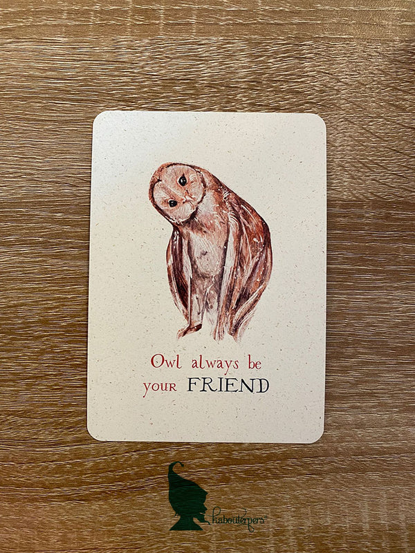 Owl always be your Friend