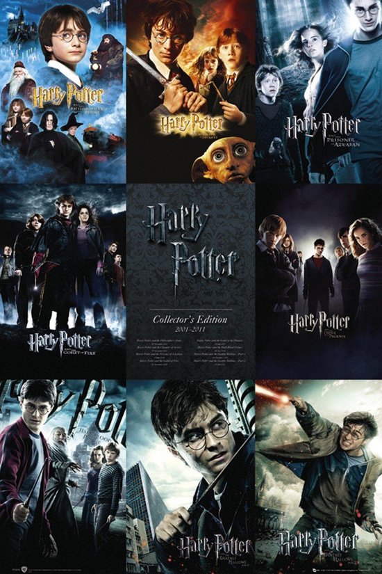 Harry Potter Filmcollection Poster