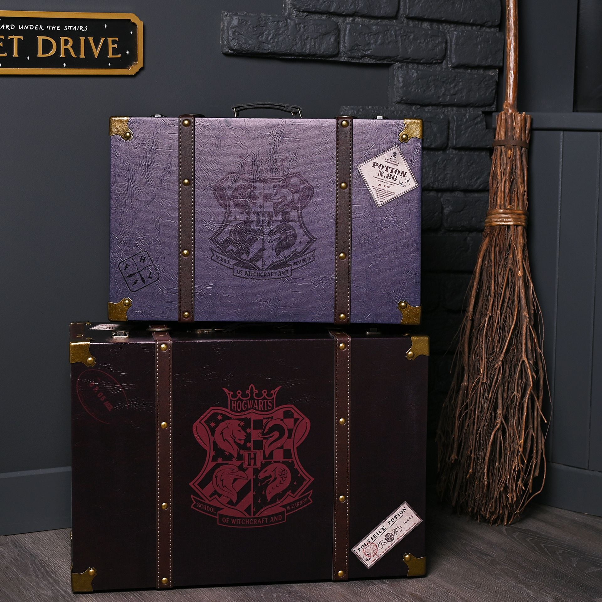 Lot de 2 valises bordeaux Harry Potter Alumni