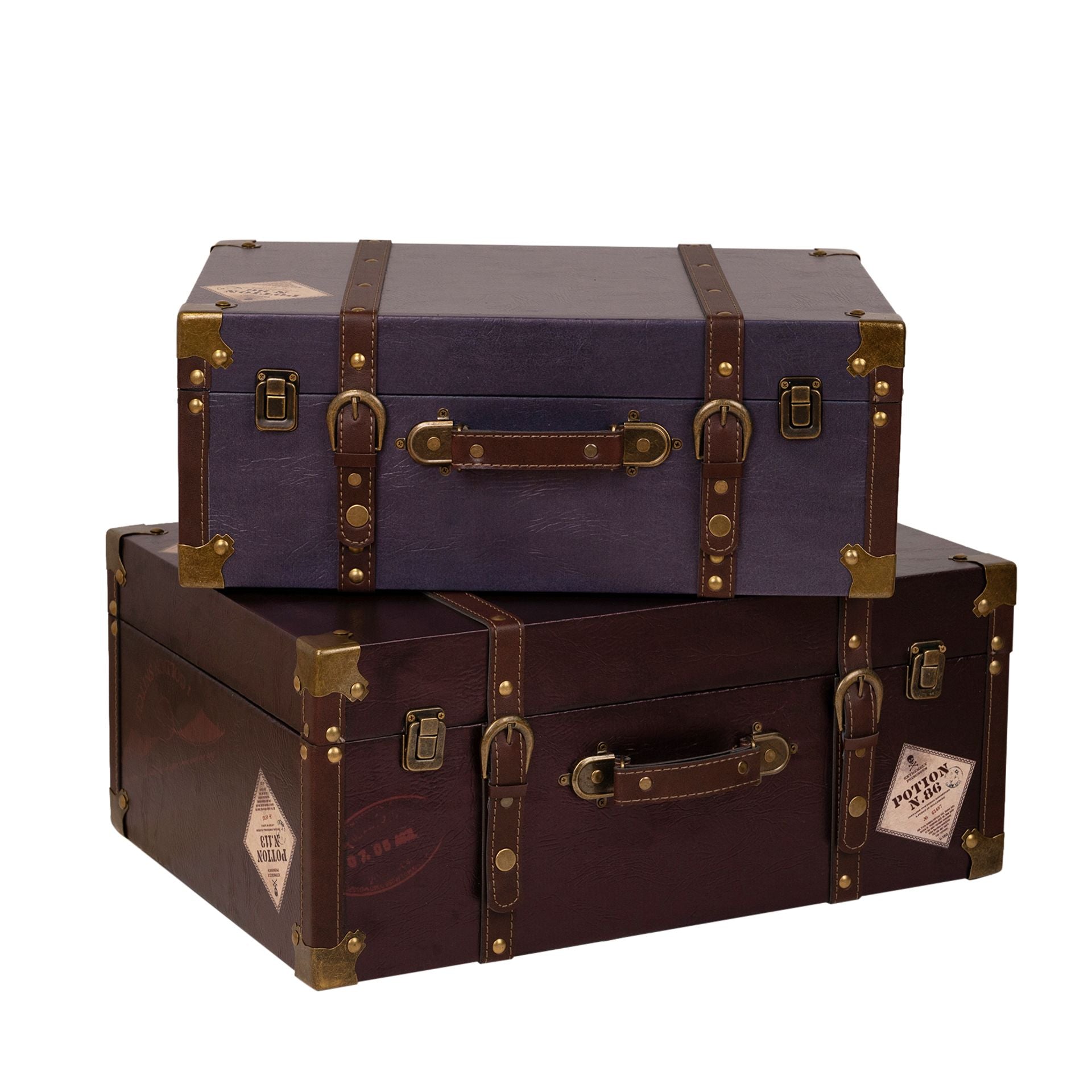 Lot de 2 valises bordeaux Harry Potter Alumni