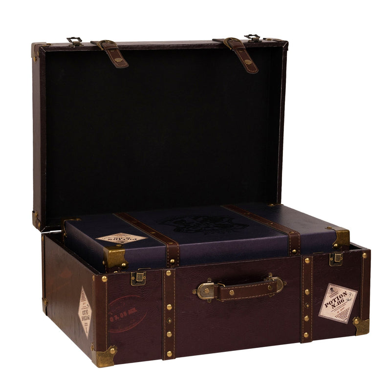 Harry Potter Alumni Burgundy Suitcase Set of 2
