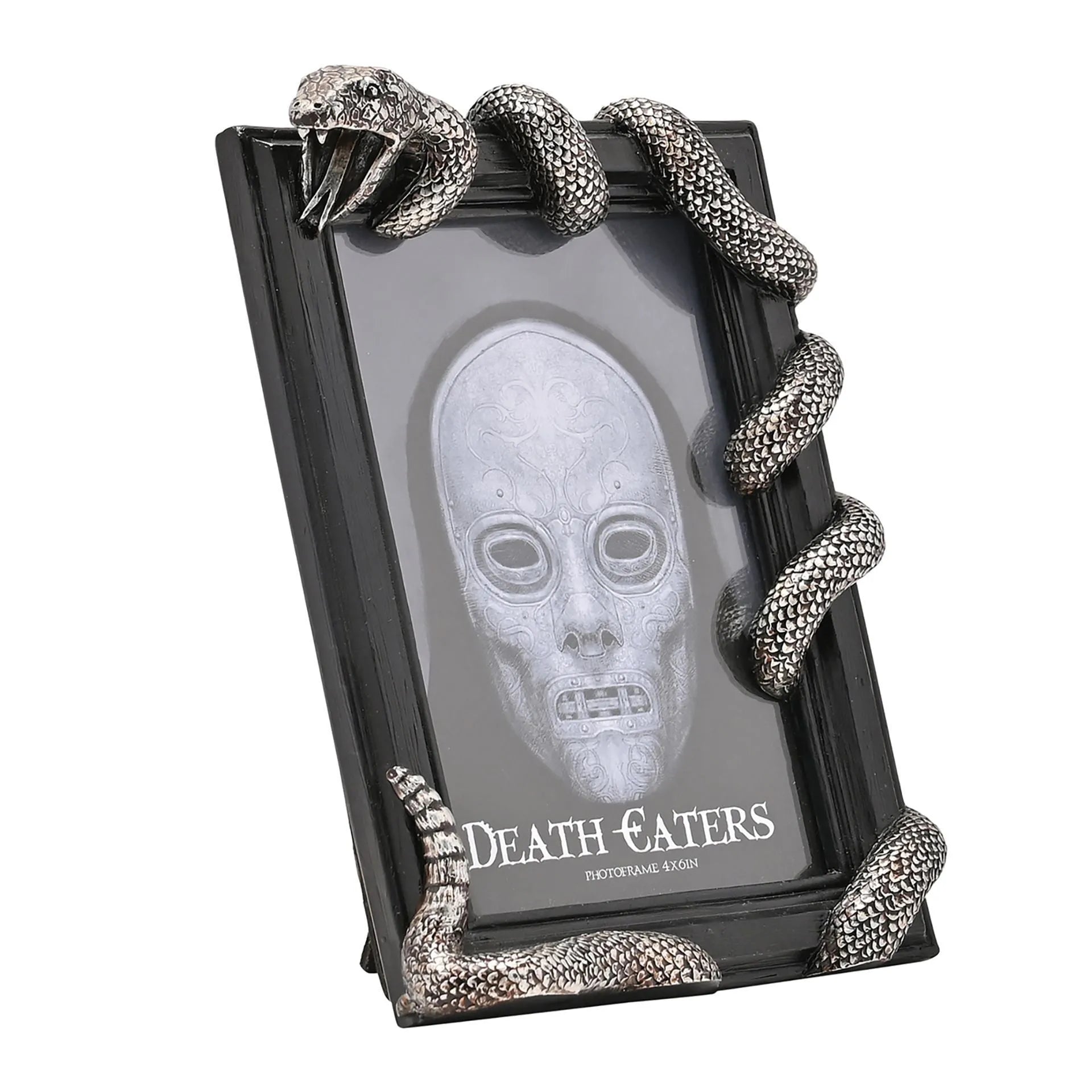 Harry Potter Dark Arts Frame - Nagini