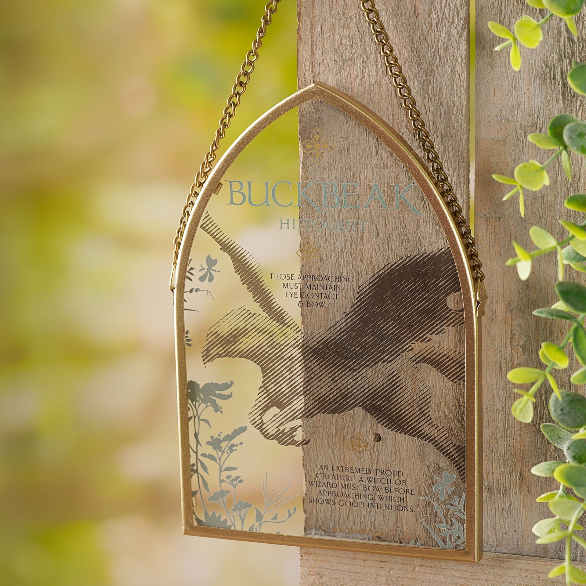 Harry Potter Herbology Arch Plaque - Buckbeak - Olleke Wizarding Shop Amsterdam