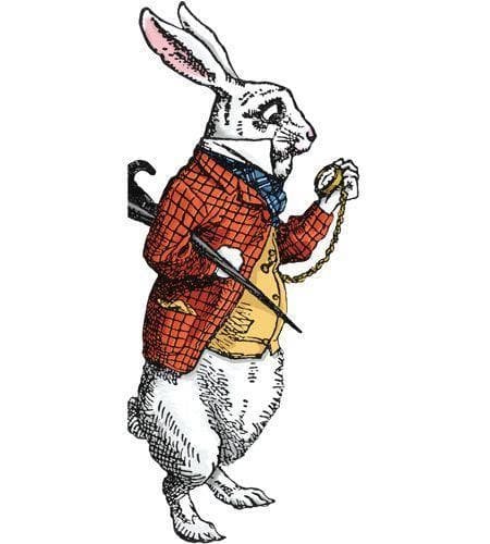 Alice in Wonderland White Rabbit Quotable Notable - Olleke | Disney and Harry Potter Merchandise shop