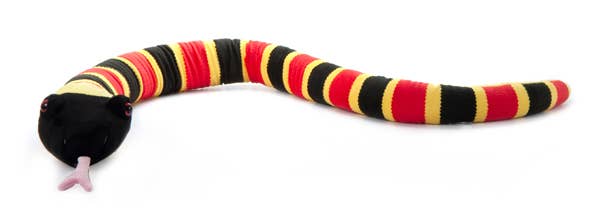 Coral Snake