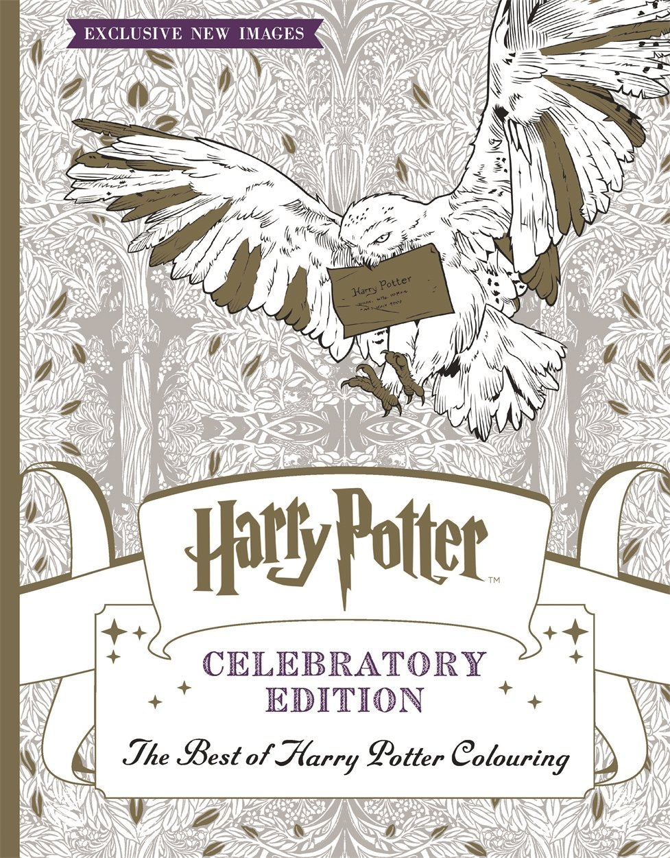 Livre de coloriage festif sur Harry Potter