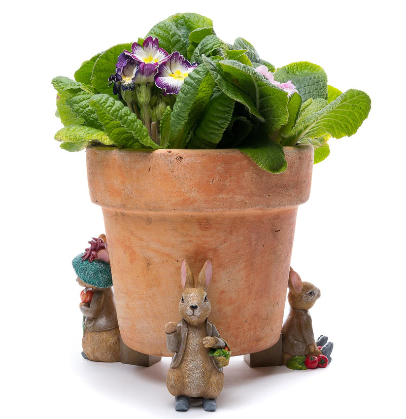 Beatrix Potter Benjamin Bunny Plant Pot Feet