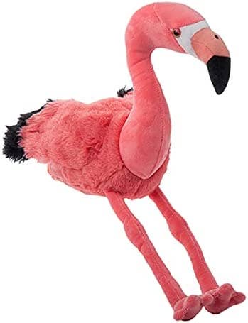 Flamant rose sauvage d'Onez