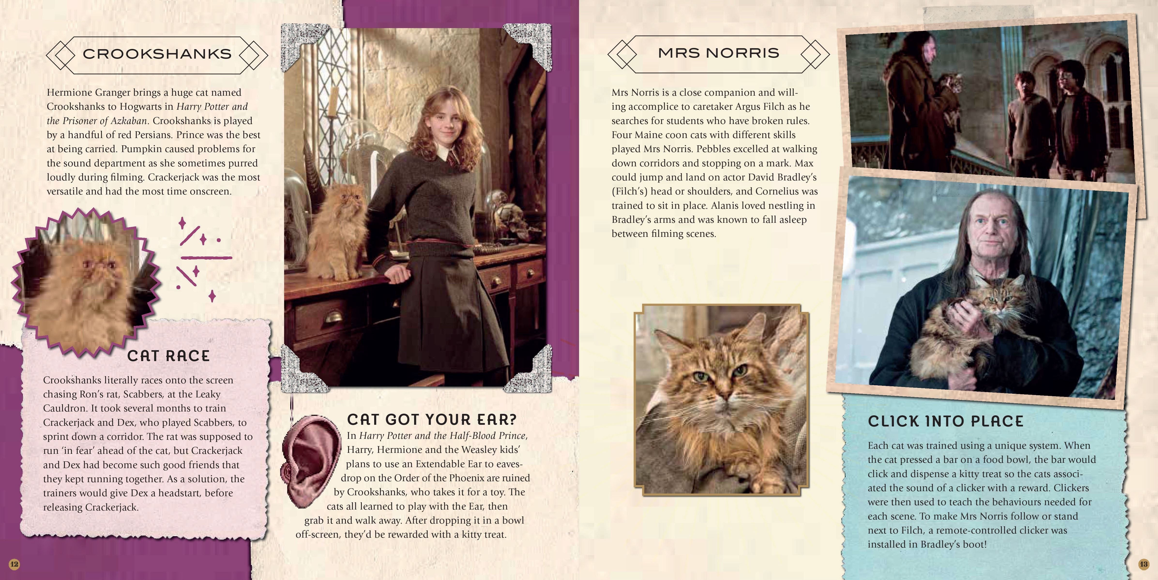 Harry Potter - Magical Creatures: A Movie Scrapbook - Olleke Wizarding Shop Amsterdam Brugge London