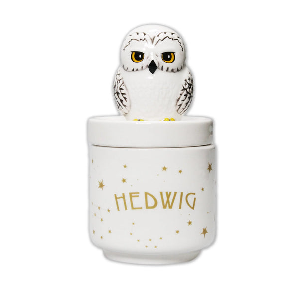 Harry Potter Hedwig Collector's Box Boxed