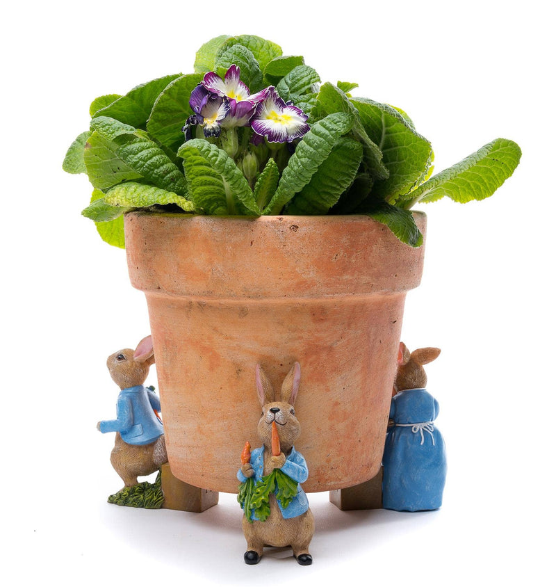 Beatrix Potter Peter Rabbit Plant Pot Feet