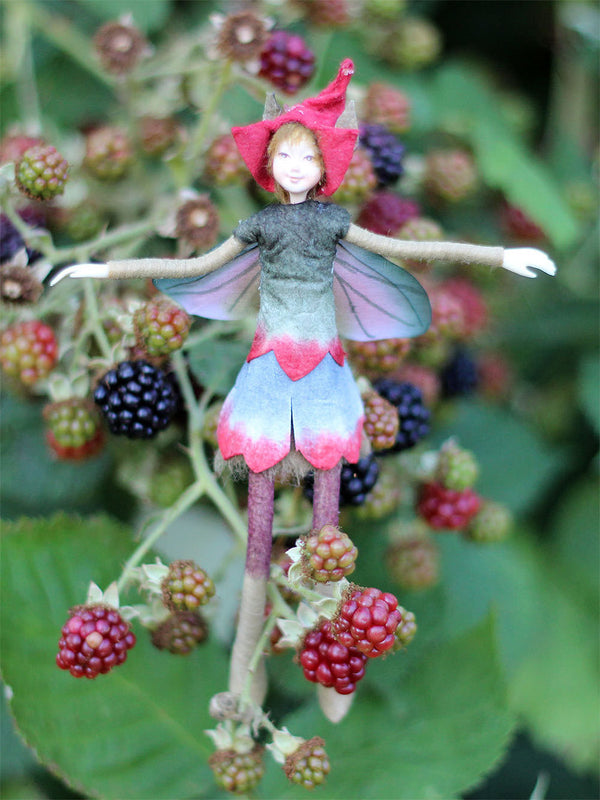 Fairy Blackberry