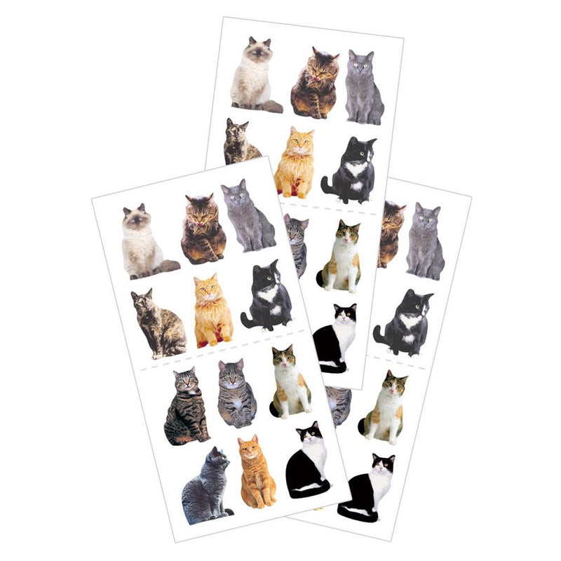 Mini Mixed Cats Sticker