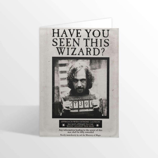 Have you Seen this Wizard? Lenticular Notecard - Olleke | Disney and Harry Potter Merchandise shop