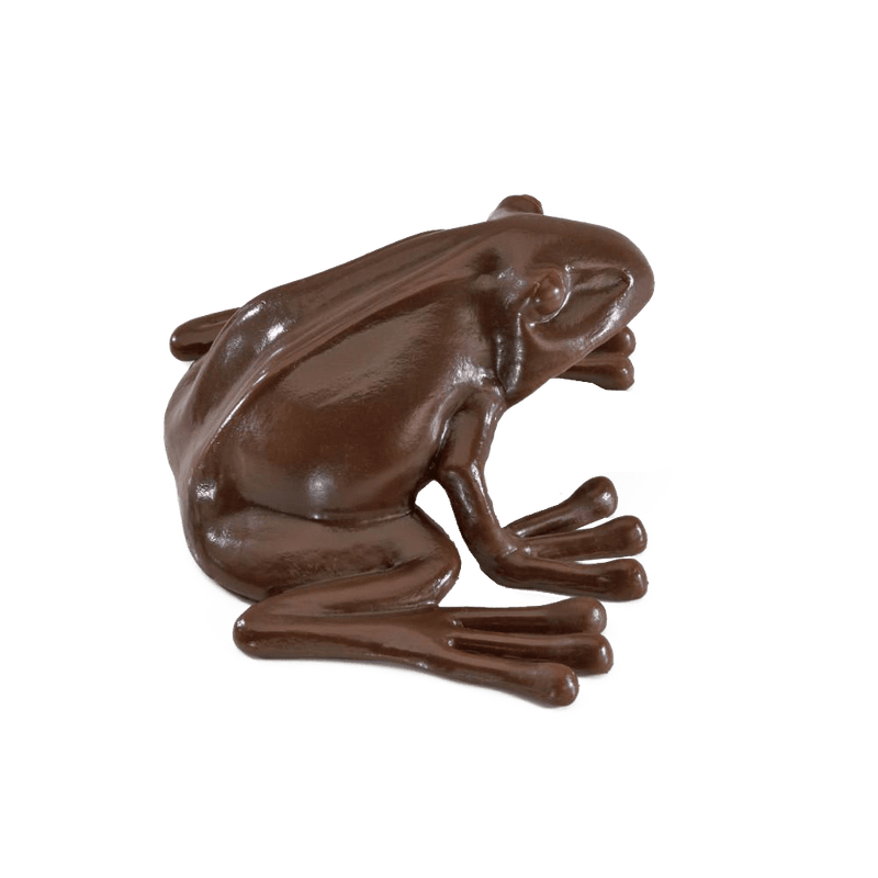 Chocolate Frog - Olleke | Disney and Harry Potter Merchandise shop