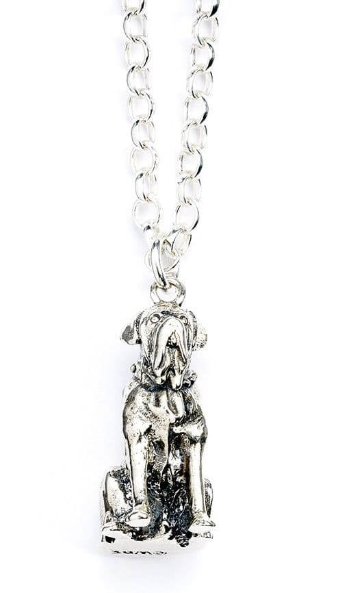 Harry Potter Hagrids Dog Fang Necklace Sterling Silver - Olleke | Disney and Harry Potter Merchandise shop
