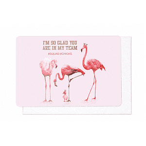 I'm so glad you are in my team #squad #chicks (Flamingo)