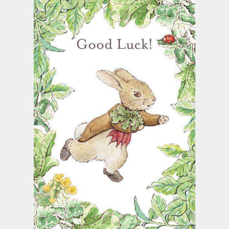 Peter Rabbit Card: Benjamin Bunny ‘Good Luck!’ - Olleke | Disney and Harry Potter Merchandise shop