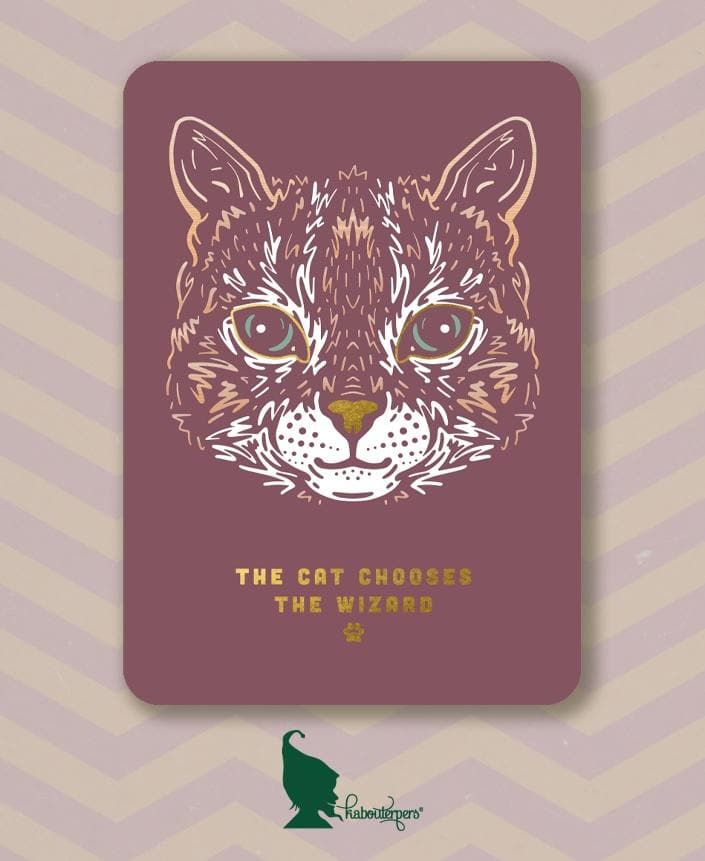 The cat chooses the wizard - Olleke | Disney and Harry Potter Merchandise shop